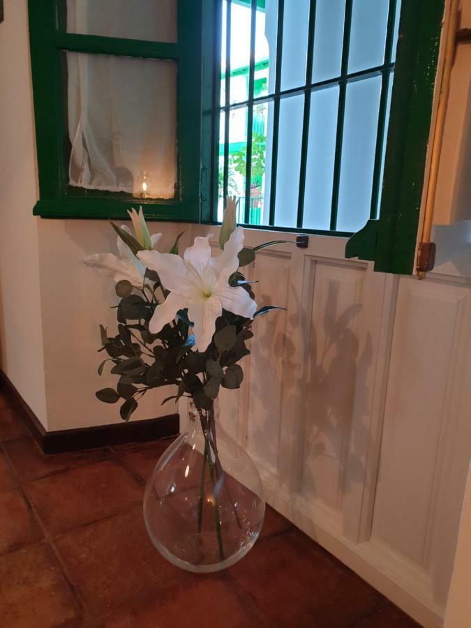 Apartamento Las Setas Sevilla Bagian luar foto